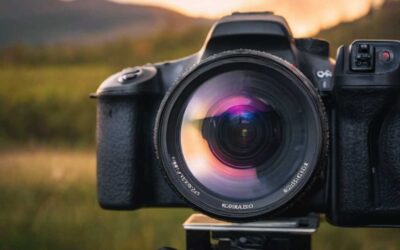 Maximiser votre visibilité sur MoronTube les astuces clés pour un succès viral